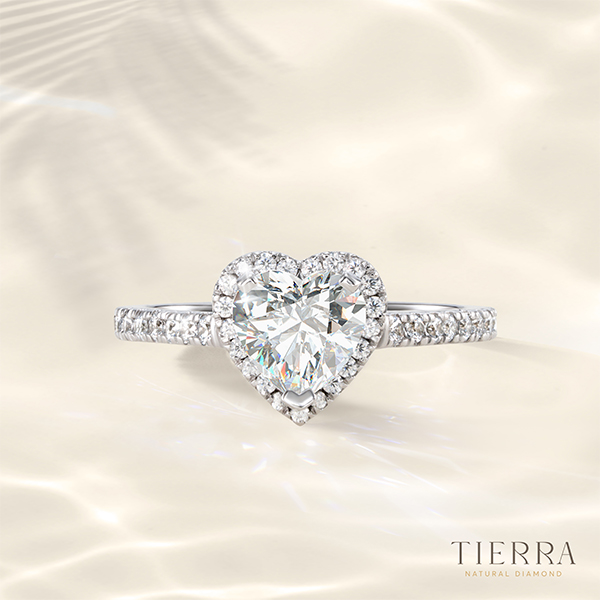 Nhẫn kim cương nữ Halo đai tấm NCH8402